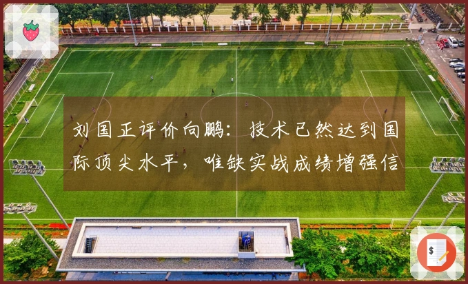 刘国正评价向鹏：技术已然达到国际顶尖水平，唯缺实战成绩增强信心！