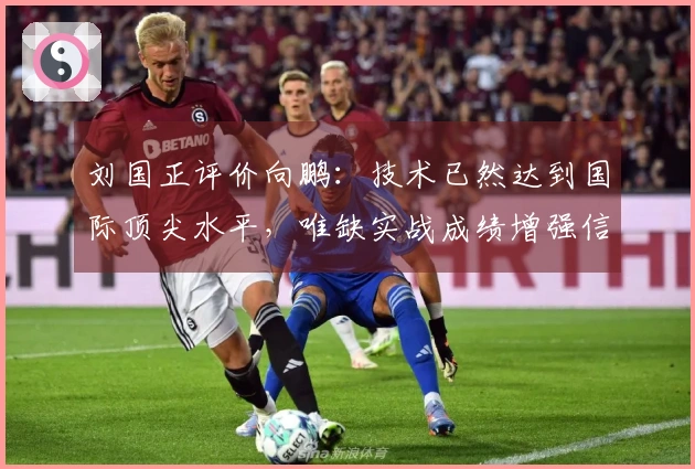 刘国正评价向鹏：技术已然达到国际顶尖水平，唯缺实战成绩增强信心！