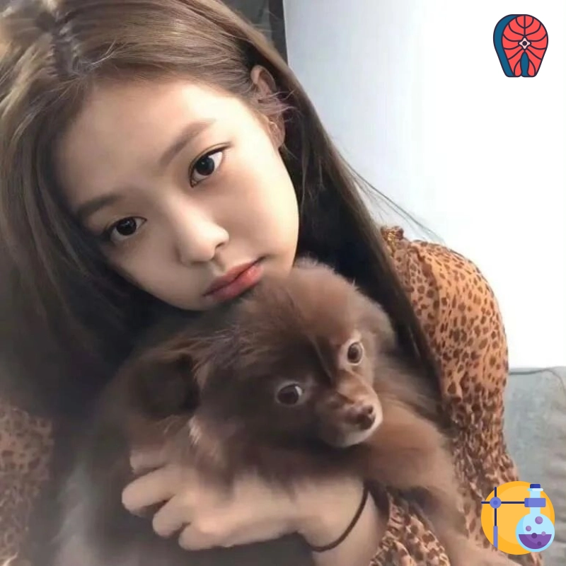 云起